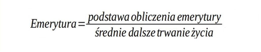 Emerytura w referendum? Zanim odpowiesz, sprawdź konto w ZUS | Finax.eu
