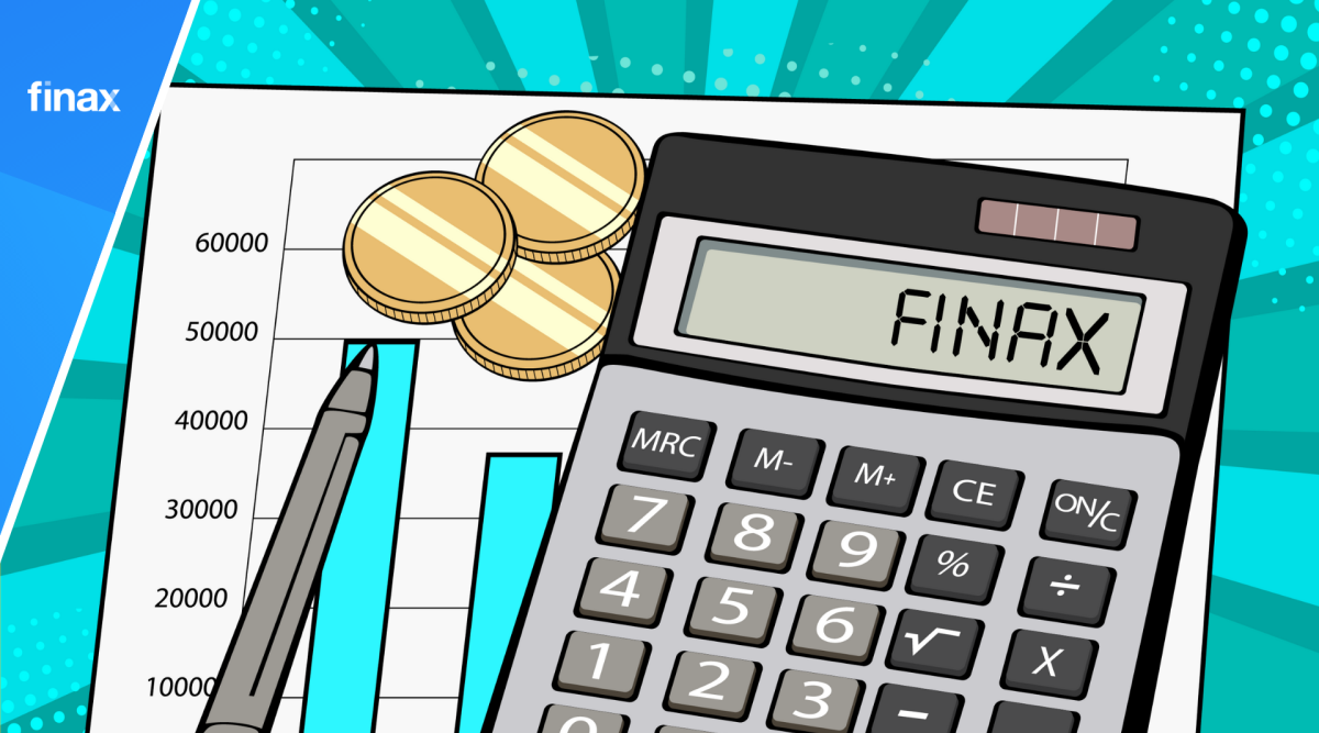 How did Finax do in the second year of its existence? | Finax.eu