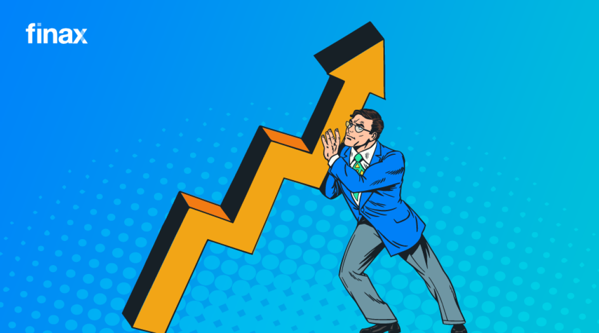 What causes the stocks to grow? | Finax.eu