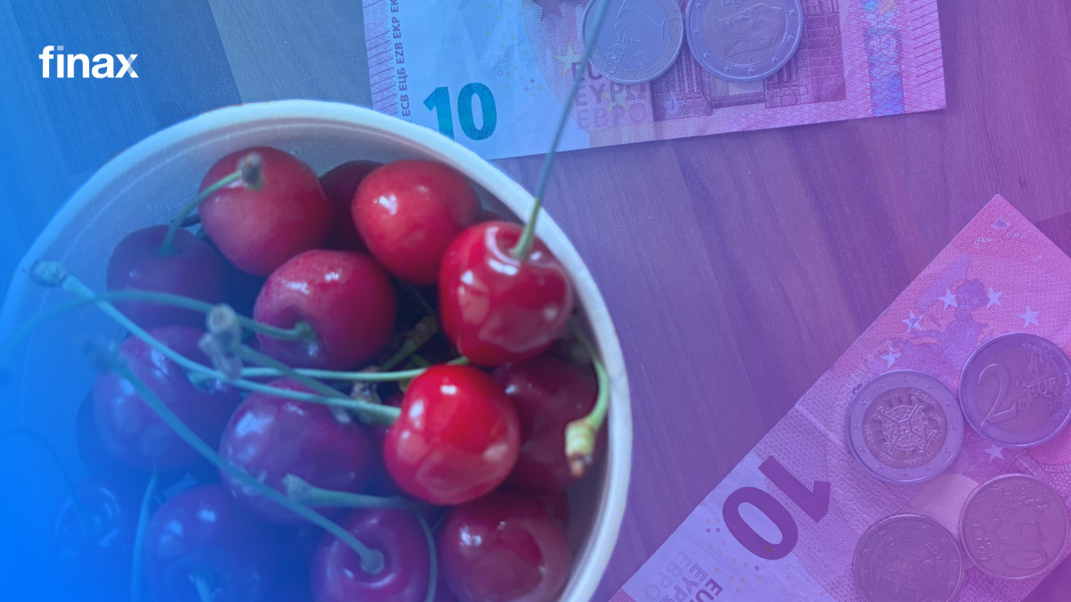 Jak učím své děti umění podnikání | Finax.eu